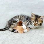 Інтерактивна іграшка для котів Пташка