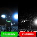 Нашийник для собак з підсвіткою (S, M, L)